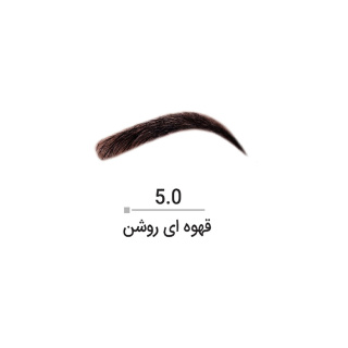 رنگ ابرو دنی وان شماره 5.0 حجم 15 میلی لیتر